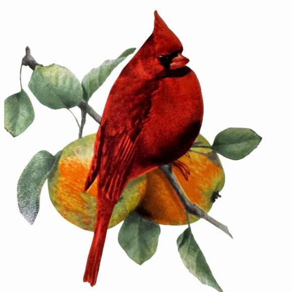 Lenox Winter Greetings Everyday Tartan Cardinal Small Serving Bowl-New in Box! - Picture 2 of 7